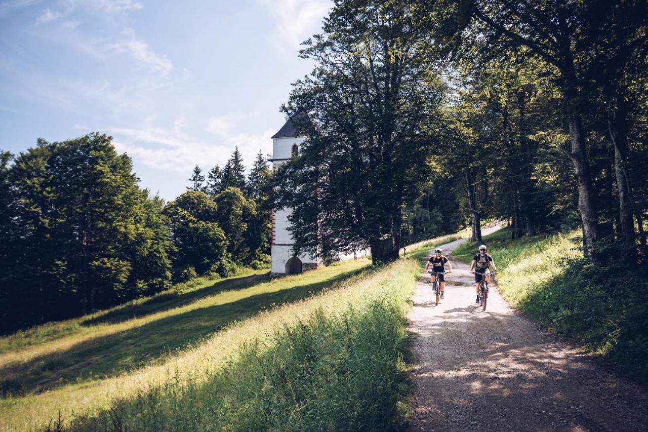 Pohorje Village Wellbeing Resort - Wellness & Spa Hotel Bolfenk Marburgo Esterno foto