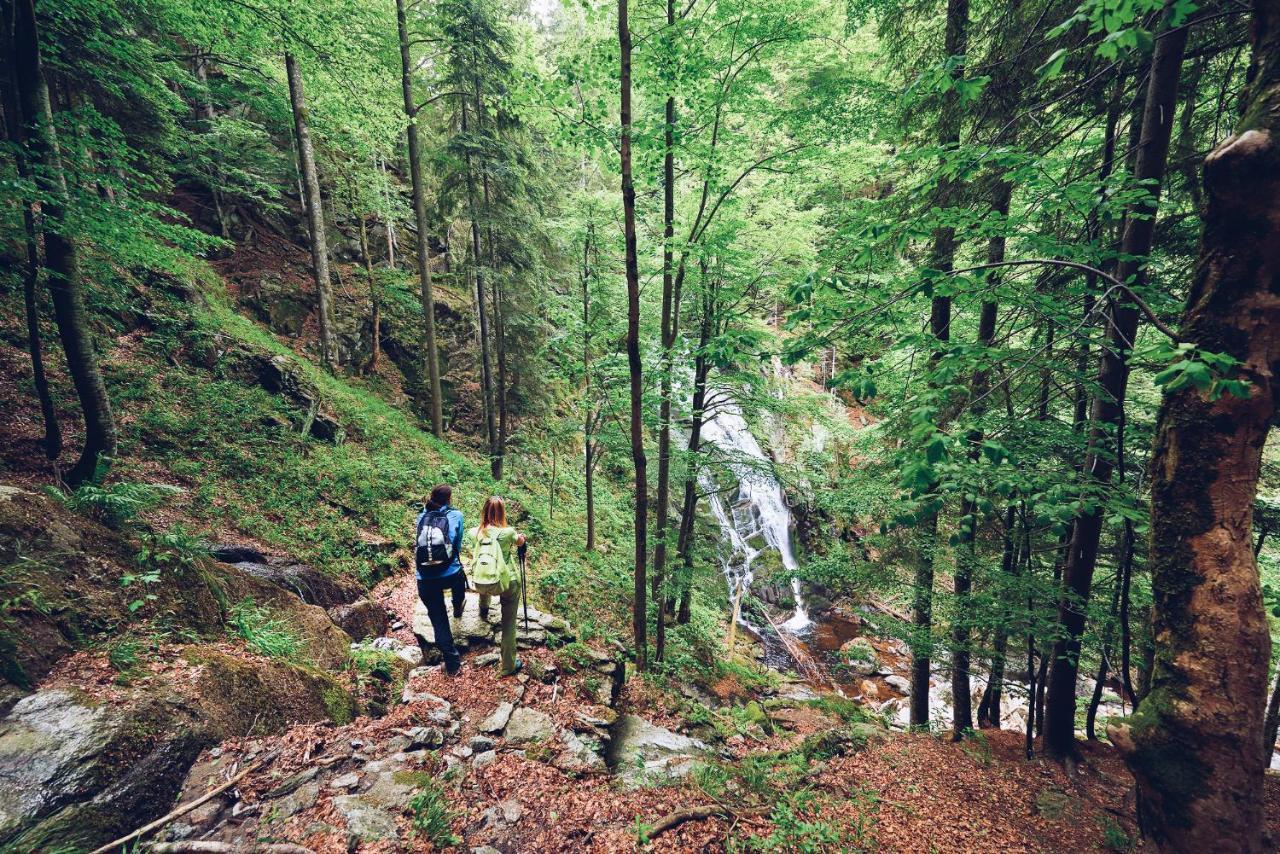 Pohorje Village Wellbeing Resort - Wellness & Spa Hotel Bolfenk Marburgo Esterno foto
