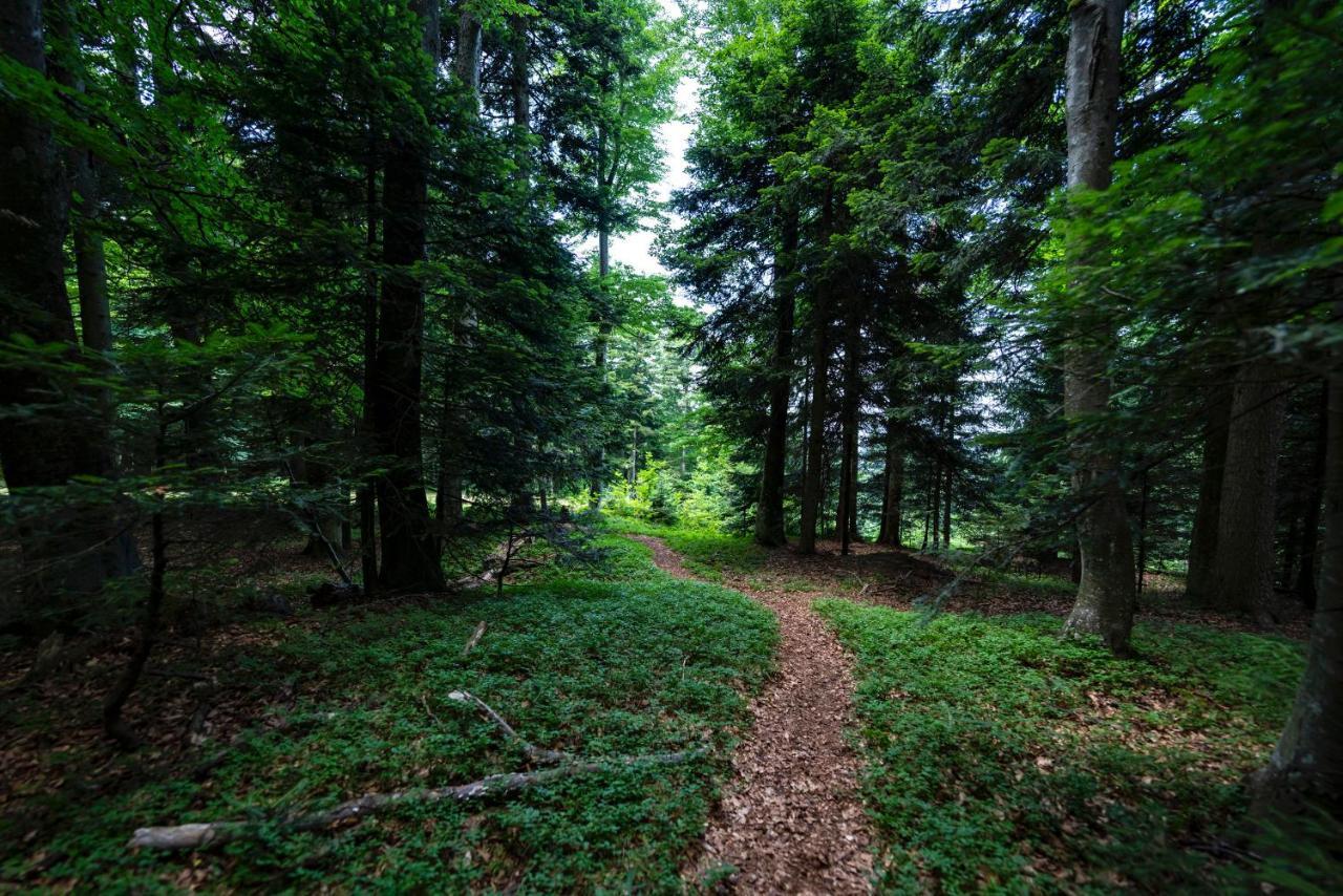 Pohorje Village Wellbeing Resort - Wellness & Spa Hotel Bolfenk Marburgo Esterno foto