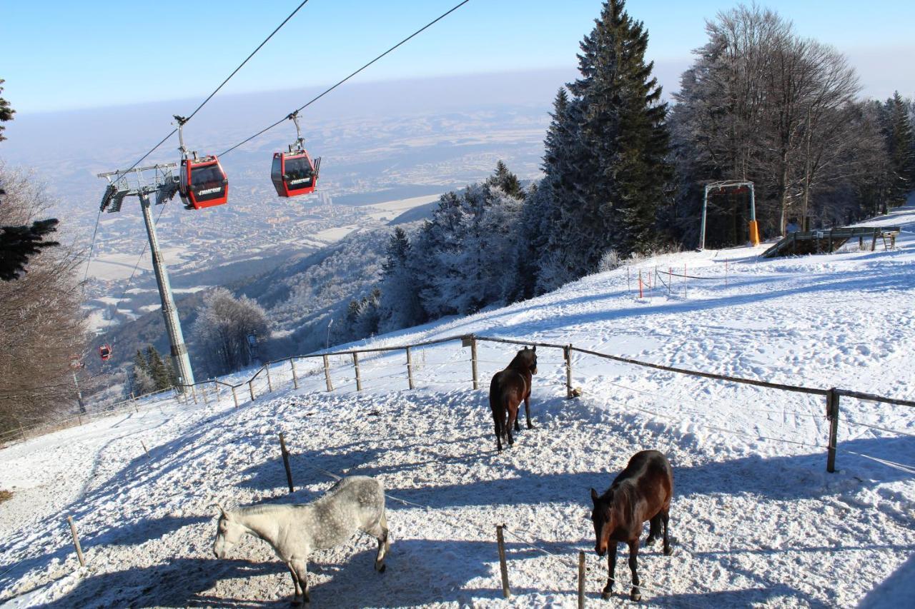 Pohorje Village Wellbeing Resort - Wellness & Spa Hotel Bolfenk Marburgo Esterno foto